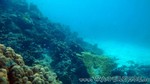 Reethi2011-0103.jpg
