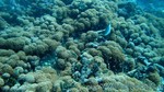 Reethi2011-0105.jpg