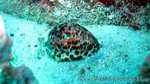 Reethi2011-0107.jpg