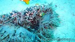 Reethi2011-0111.jpg