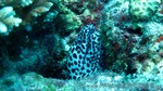 Reethi2011-0122.jpg