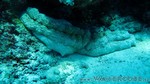 Reethi2011-0123.jpg