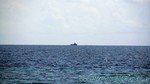 Reethi2011-0125.jpg
