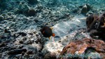 Reethi2011-0131.jpg