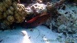 Reethi2011-0136.jpg