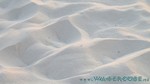 Reethi2011-0145.jpg