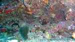 Reethi2011-0158.jpg