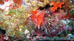 Reethi2011-0159.jpg