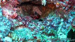 Reethi2011-0169.jpg