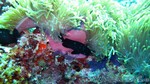 Reethi2011-0177.jpg