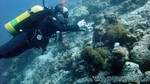 Reethi2011-0178.jpg