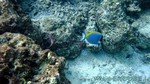 Reethi2011-0180.jpg