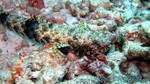 Reethi2011-0184.jpg
