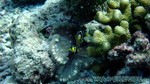 Reethi2011-0186.jpg