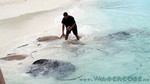 Reethi2011-0188.jpg