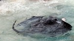 Reethi2011-0189.jpg