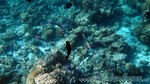 Reethi2011-0216.jpg