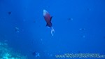 Reethi2011-0221.jpg