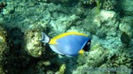 Reethi2011-0226.jpg