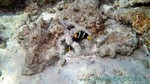 Reethi2011-0228.jpg