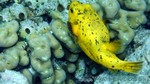 Reethi2011-0232.jpg