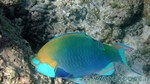 Reethi2011-0234.jpg