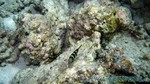 Reethi2011-0244.jpg