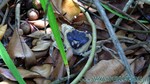 Reethi2011-0296.jpg