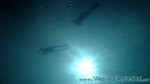Reethi2011-0331.jpg