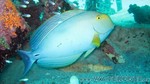 Reethi2011-0338.jpg