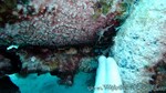 Reethi2011-0349.jpg