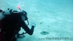 Reethi2011-0352.jpg