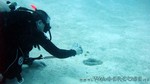 Reethi2011-0353.jpg