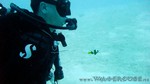 Reethi2011-0354.jpg
