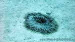 Reethi2011-0357.jpg