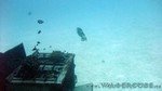 Reethi2011-0360.jpg