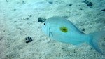 Reethi2011-0382.jpg