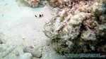 Reethi2011-0383.jpg