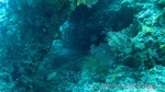 Reethi2011-0384.jpg