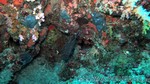 Reethi2011-0385.jpg
