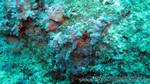 Reethi2011-0386.jpg