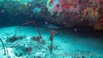 Reethi2011-0389.jpg