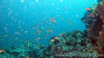 Reethi2011-0392.jpg