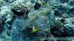 Reethi2011-0414.jpg