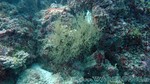 Reethi2011-0415.jpg