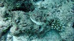Reethi2011-0417.jpg