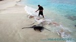 Reethi2011-0429.jpg