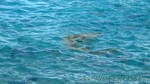 Reethi2011-0436.jpg