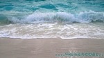 Reethi2011-0444.jpg