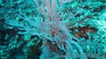 Reethi2011-0451.jpg